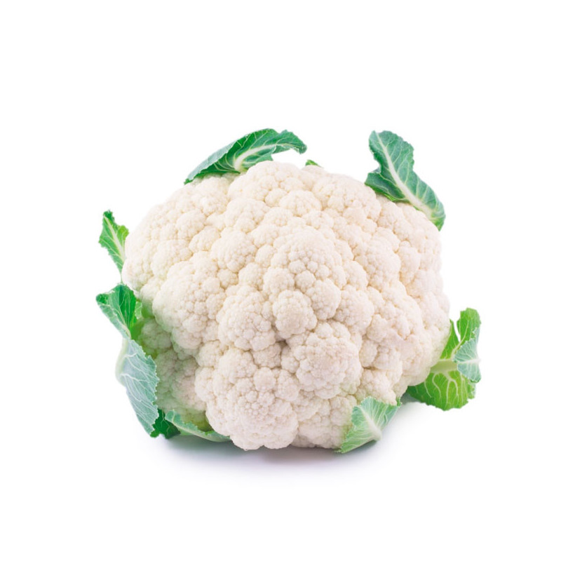  Coliflor SF1791 1000 Semillas Hibrido F1 Primavera Verano Feltrin 44.915254 Coliflor SF1791 1000 Semillas Hibrido F1 Primavera 