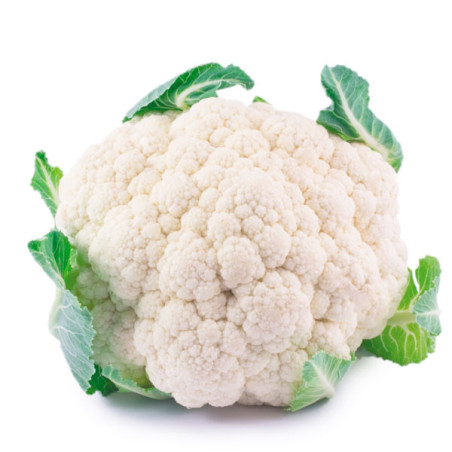  Coliflor SF1791 1000 Semillas Hibrido F1 Primavera Verano Feltrin 44.915254 Coliflor SF1791 1000 Semillas Hibrido F1 Primavera 