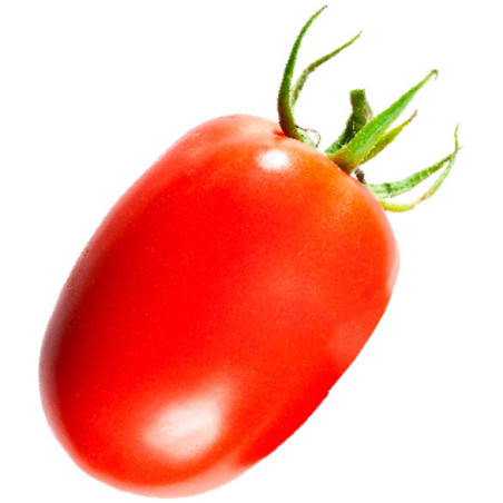  Tomate Galio 5000 Semillas Hibrido F1 Tipo Determinado Rodeo Seeds 1230.508475 Tomate Galio 5000 Semillas Hibrido F1 Tipo Deter