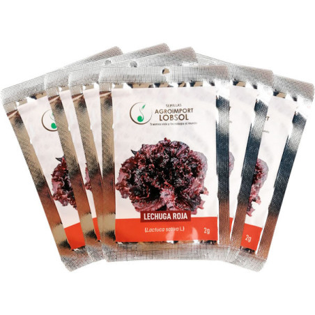  Lechuga Roja 2gr Semillas Pack X25Sobres Variedad Hortalizas Huerto 74.576271 Lechuga Roja 2gr Semillas Pack X25Sobres Variedad