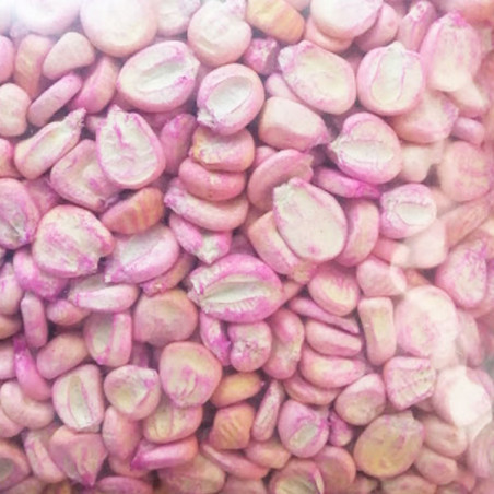  Maiz Cusqueño 1Kg Semillas Granel Variedad OP Nacional 29 Maiz Cusqueño 1Kg Semillas Granel Variedad OP Nacional
Variedades de 