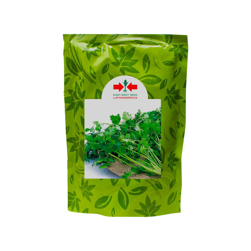  Culantro Ramses 500gr Variedad Verde Intenso, East West Seed 44.067797 Culantro Ramses 500gr Variedad Verde Intenso, East West 
