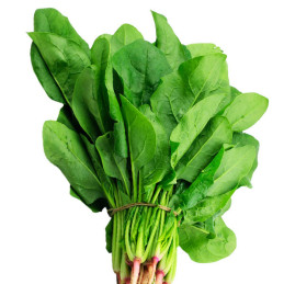  Espinaca Viroflay 500gr Semillas OP Variedad 58.474576 Espinaca Viroflay 500gr Semillas OP Variedad
De hojas anchas verde oscur
