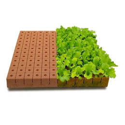  Espuma fenolica 2.0x2.0x2.0, usado en hidroponia, Placa 30x46 15.762712 Espuma fenolica 2.0x2.0x2.0, usado en hidroponia, Placa