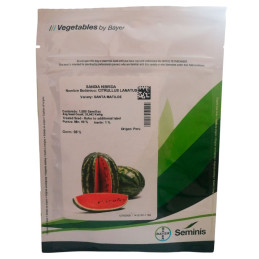  Sandia Santa Matilde 5000semillas, Semillas de Sandia hibrido, Hortus 2033.898305 Sandia Santa Matilde 5000semillas, Semillas d