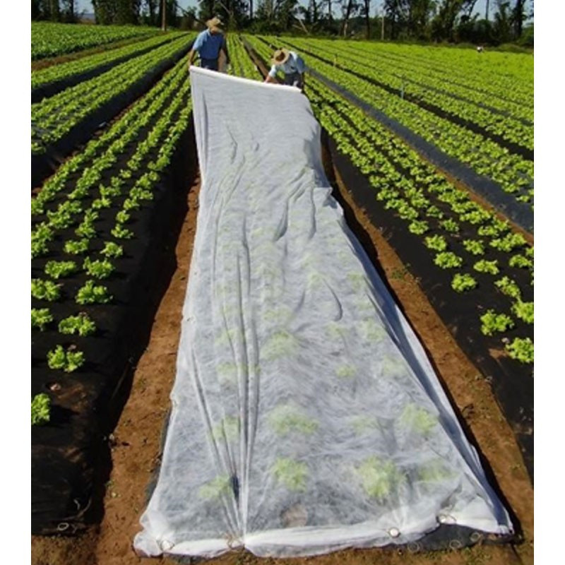  Malla Antihelada 2.2x500m Manta Termica Para Cultivos 244 Malla Antihelada 2.2x500m Manta Termica Para Cultivos
 ANTHE1014136 1