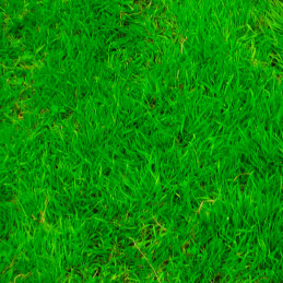  Grass Mix Sierra 25Kg Semillas Pastos Mezcla Lolium Festuca Festololium Jardin Campos Deportivos 980.000001 Grass Mix Sierra 25