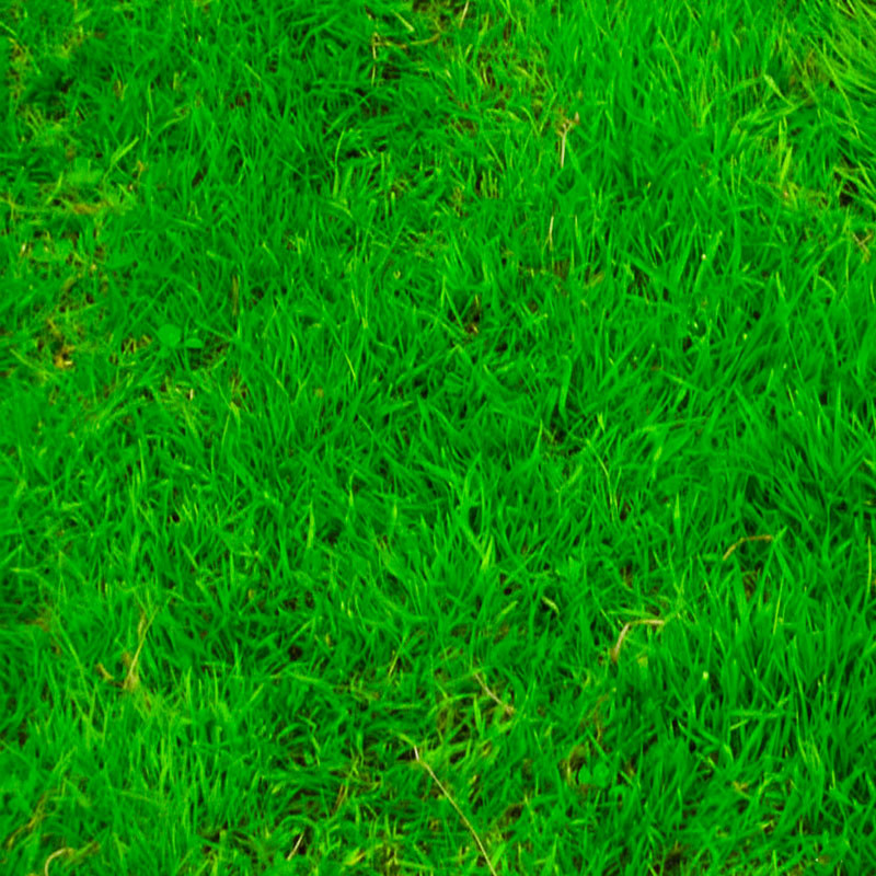  Grass Mix Sierra 25Kg Semillas Pastos Mezcla Lolium Festuca Festololium Jardin Campos Deportivos 980.000001 Grass Mix Sierra 25