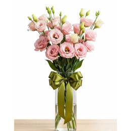 Lisianto 1000 Semillas Eustoma grandiflorum Lisianthus Super Magic Rose PLT Flor Corte Incaforest-Lisianto 1000 Semillas Eustoma