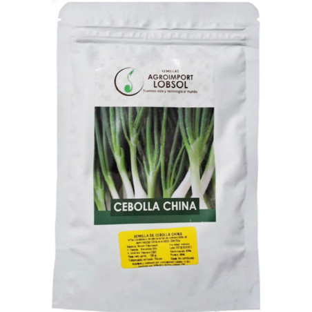 Cebolla China Nebuka 100gr Semillas Variedad OP Hortalizas AGLobsol-Cebolla China Nebuka 100gr Semillas Variedad OP Hortalizas -