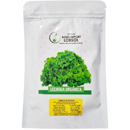 Lechuga Waldman Green 100gr Semillas Variedad OP Hortalizas AGLobsol-Lechuga Waldman Green 100gr Semillas Variedad OP Hortalizas