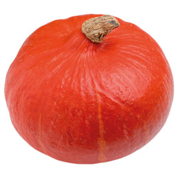 Zapallo Orange Summer 1000 Semillas Hibrido F1 Hortalizas Calabaza Hokkaido Naranja agp-Zapallo Orange Summer 1000 Semillas Hibr