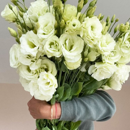 Lisianto 1000 Semillas Eustoma grandiflorum Lisianthus Mariachi Lime Green PLT Flor Corte Incaforest-Lisianto 1000 Semillas Eust