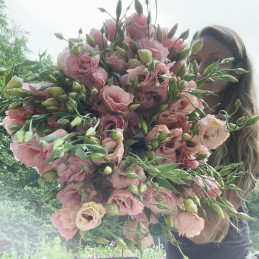 Lisianto 1000 Semillas Eustoma grandiflorum Lisianthus Super Magic Apricot PLT Flor Corte Incaforest-Lisianto 1000 Semillas Eust