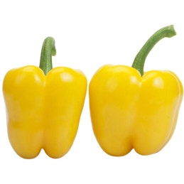 Pimiento Soraya 1KS F1 Semilla Hibrido Color Amarillo Indeterminado Ramiro Arnedo