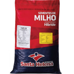 Maiz SHS 7939 Semilla Hibrido Forraje Grano Santa Helena