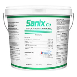 Sanix Cu 20Kg Pasta Cicatrizante Cuprico CAISAC