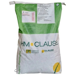 Vainita Colter Semilla Variedad Precoz HM Clause
