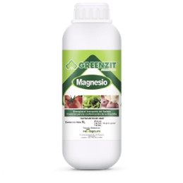  Greenzit Magnesio 1L, Fertilizante liquido MAGNESIO quelatizado con el acido lignosulfonico, Neoagrum 25.423729 Greenzit Magnes