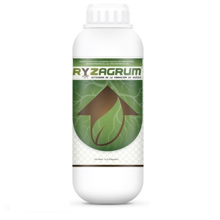  Ryzagrum 1L, Extracto de algas marinas Ascophyllum nodosum, aminoacidos libres,  Zn (EDTA) y Fe (EDTA), Neoagrum 73.728814 Ryza