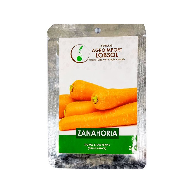  Zanahoria Royal Chantenay 2gr, Semillas de Zanahoria 3.813559 Zanahoria Royal Chantenay 2gr, Semillas de Zanahoria
Variedad de 