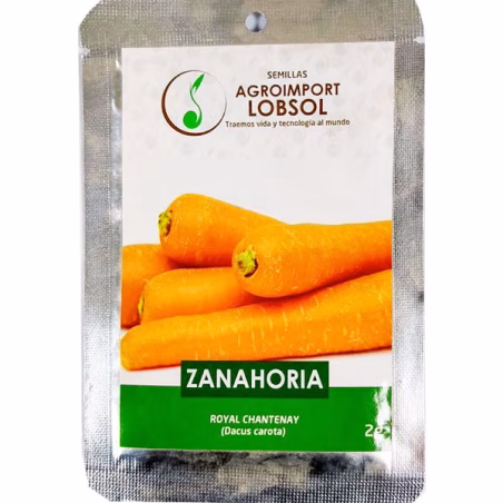 Zanahoria Royal Chantenay 2gr, Semillas de Zanahoria AGLobsol-Zanahoria Royal Chantenay 2gr, Semillas de Zanahoria Variedad de a