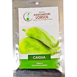  Caigua Criolla 2gr, Semillas de Caigua 3.813559 Caigua Criolla 2gr, Semillas de Caigua
Pertenece a la familia de las cucurbitác