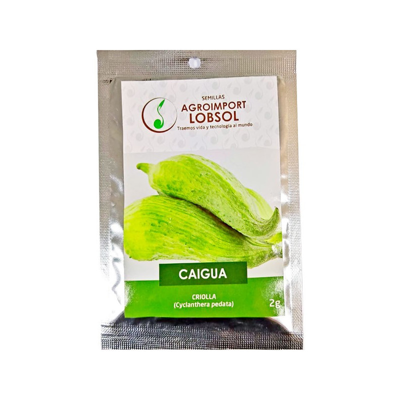  Caigua Criolla 2gr, Semillas de Caigua 3.813559 Caigua Criolla 2gr, Semillas de Caigua
Pertenece a la familia de las cucurbitác