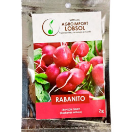  Rabanito Crimson Giant 2gr, Semillas de Rabanito 3.813559 Rabanito Crimson Giant 2gr, Semillas de Rabanito
Planta muy vigorosa 