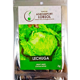  Lechuga Great Lakes 2gr, Semillas de Lechuga 3.813559 Lechuga Great Lakes 2gr, Semillas de Lechuga
Variedad muy adaptada y semb