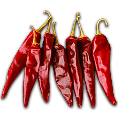  Paprika King 500gr, Semilla de paprika, AyV Seeds 465.254237 Paprika King 500gr, Semilla de paprika, AyV Seeds
Variedad de poli