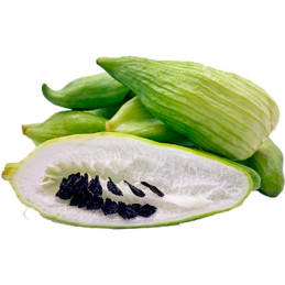  Caigua Criolla 500gr, Semillas de Caigua 111.864407 Caigua Criolla 500gr, Semillas de Caigua
Pertenece a la familia de las cucu