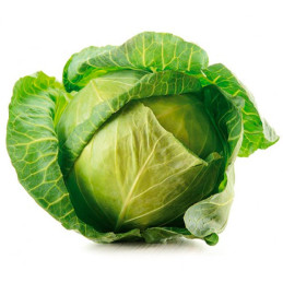  Col Repollo 2gr, Semillas de Col Brunswick 3.813559 Col Repollo 2gr, Semillas de Col Brunswick
Variedad tardía con plantas de t
