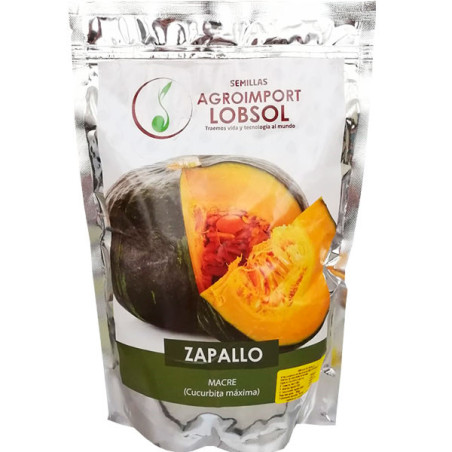  Zapallo Macre 500gr, Semillas de Zapallo 56 Zapallo Macre 500gr, Semillas de Zapallo
Variedad local con cáscara de color verde 