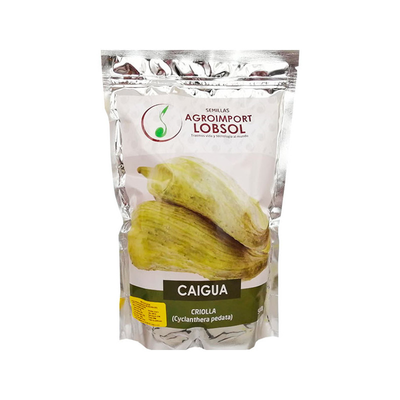 Caigua Criolla 500gr, Semillas de Caigua 111.864407 Caigua Criolla 500gr, Semillas de Caigua
Pertenece a la familia de las cucu