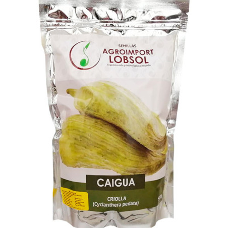  Caigua Criolla 500gr, Semillas de Caigua 111.864407 Caigua Criolla 500gr, Semillas de Caigua
Pertenece a la familia de las cucu