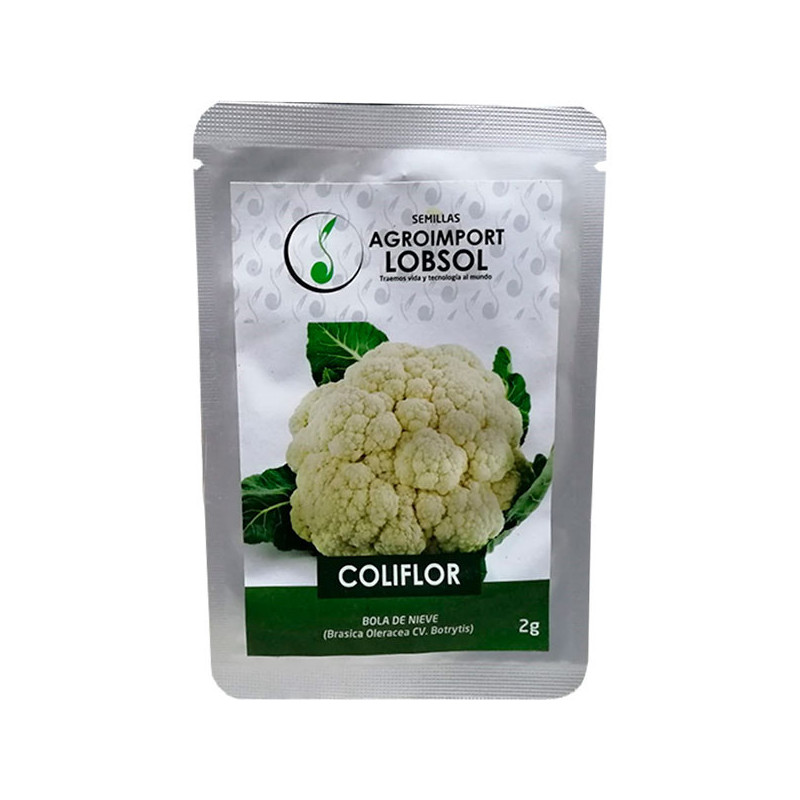  Coliflor 2gr, Semillas de Coliflor 3.813559 Coliflor 2gr, Semillas de Coliflor
Produce una cabeza blanca redonda de 15-17 cm de