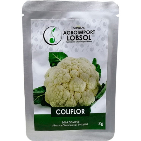  Coliflor 2gr, Semillas de Coliflor 3.813559 Coliflor 2gr, Semillas de Coliflor
Produce una cabeza blanca redonda de 15-17 cm de