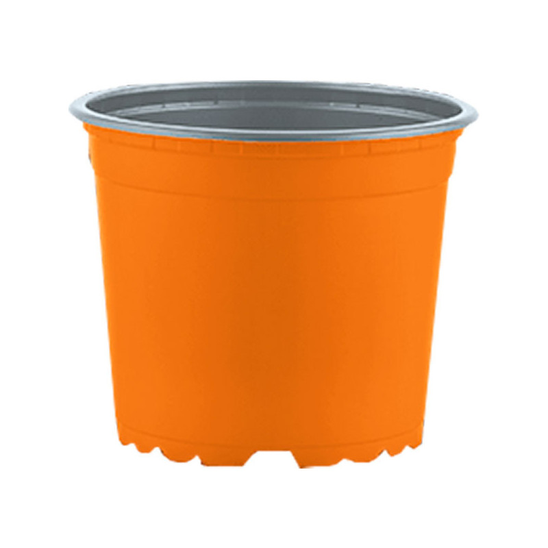 Macetas de Plastico 11 x 8.6cm Termoformadas, VCG 11 1.016949 Macetas de Plastico 11 x 8.6cm Termoformadas, VCG 11
Diámetro sup Macetas de Plastico 11 x 8.6cm Termoformadas, VCG 11 1.016949 Macetas de Plastico 11 x 8.6cm Termoformadas, VCG 11
Diámetro sup