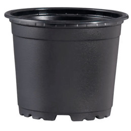  Macetas de Plastico 22 x 17.9cm Termoformadas Negro, VCD22 5.2 Macetas de Plastico 22 x 17.9cm Termoformadas Negro, VCD22
Diáme