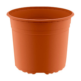  Macetas de Plastico 21 x 15.9cm Termoformadas, VCD21 4.830508 Macetas de Plastico 21 x 15.9cm Termoformadas, VCD21
Diámetro sup