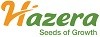 hazera