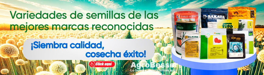 Semillas