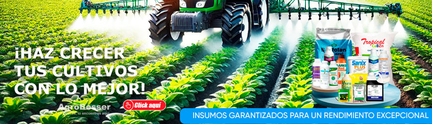 Pesticidas